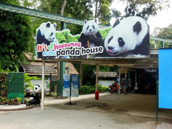 Zoo di Chiang Mai